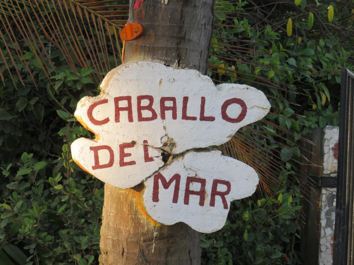 Cabina Caballo del Mar Parrita Esterno foto